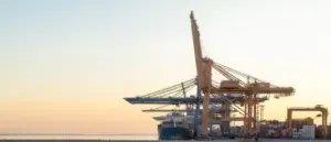 resume received 11 gruas WEBP scaled 1