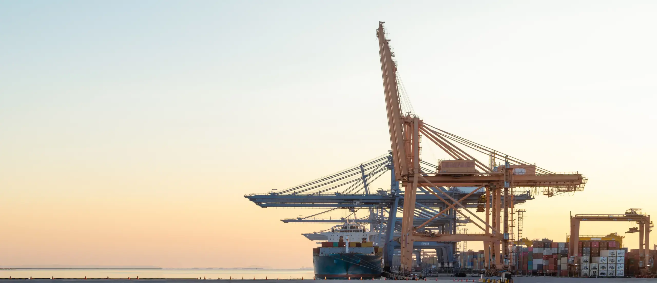 gruas WEBP scaled 1