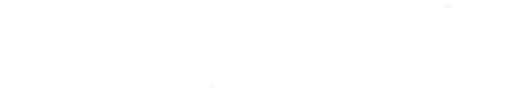 logo solidtes blanco webp