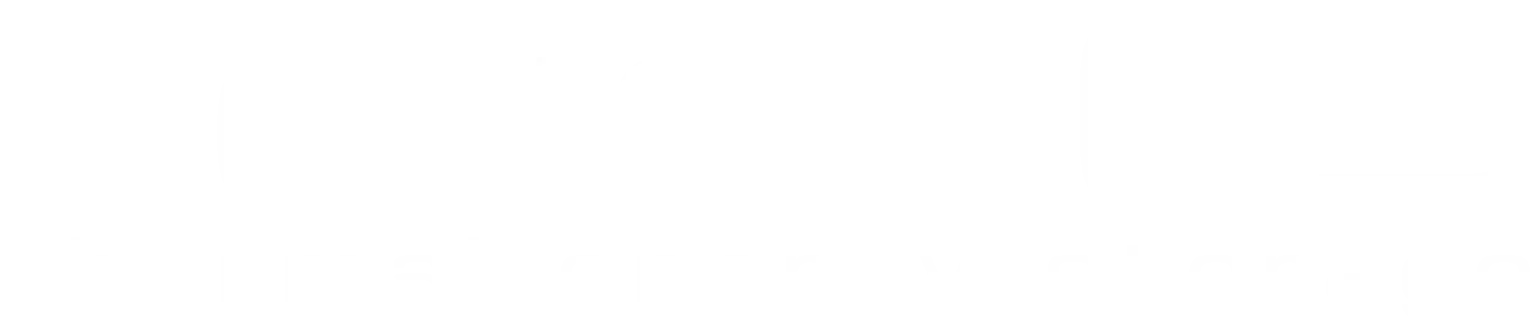 logo solidtes blanco webp